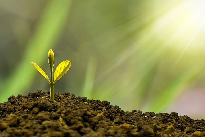 Key Factors for a Successful SAAS Product