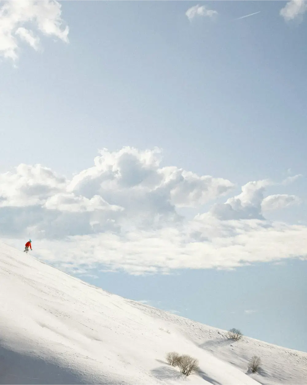 Embracing Digital Vitality: Where Life's Richness Meets Cutting-Edge Technology